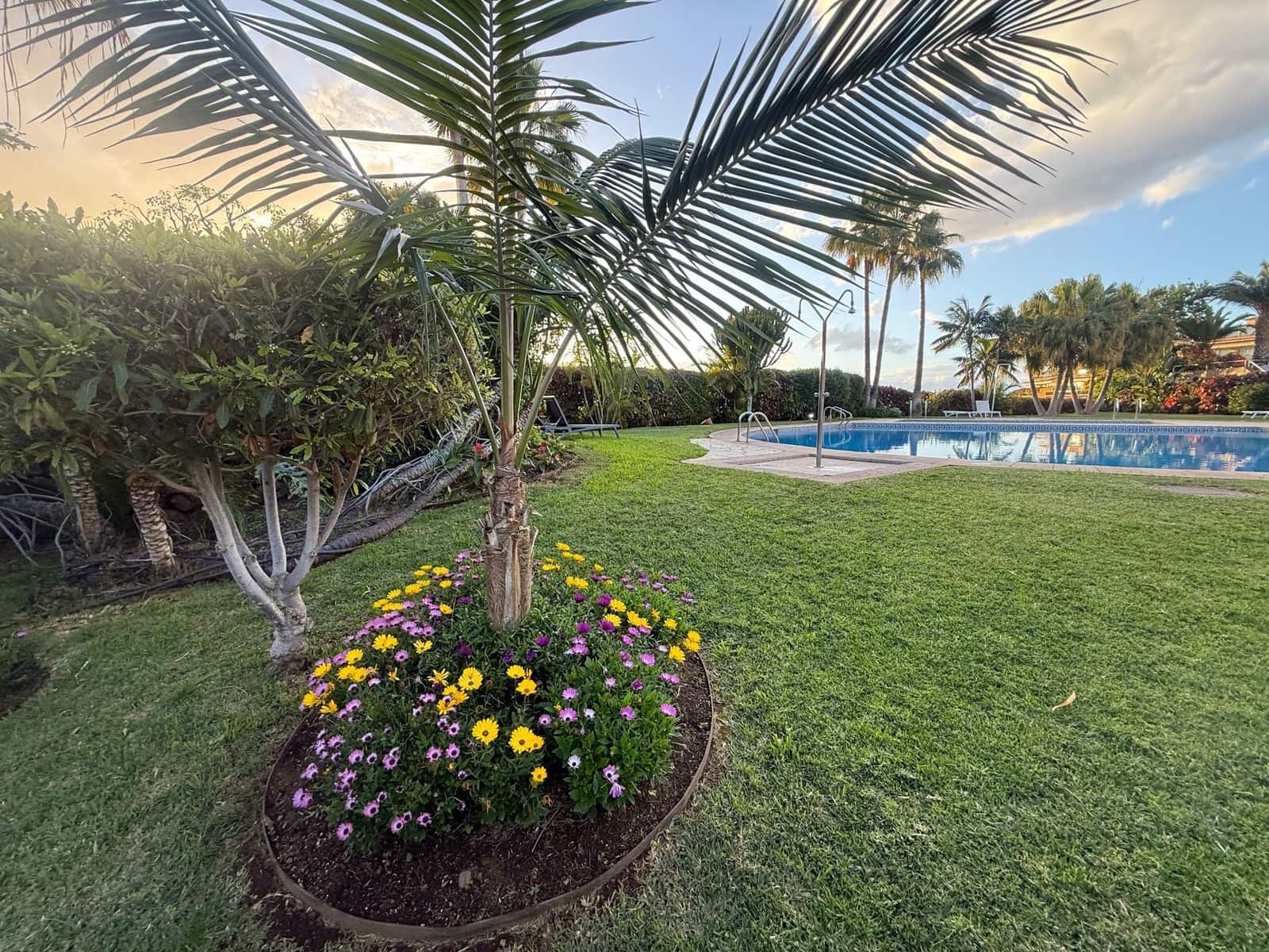 1 bedroom Apartment for sale in Puerto de la Cruz with pool garage - € 335,000 (Ref: 10036346)