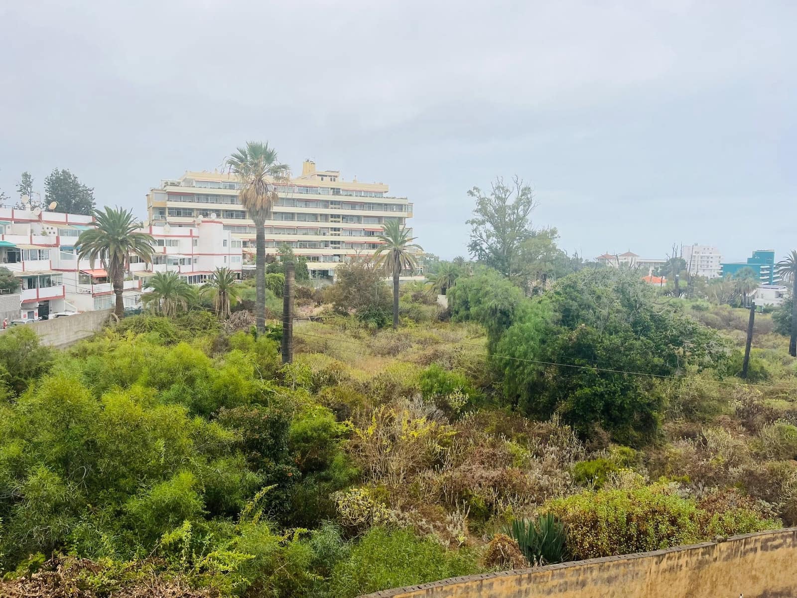 Studio for rent in Puerto de la Cruz with pool - € 700 (Ref: 10061276)