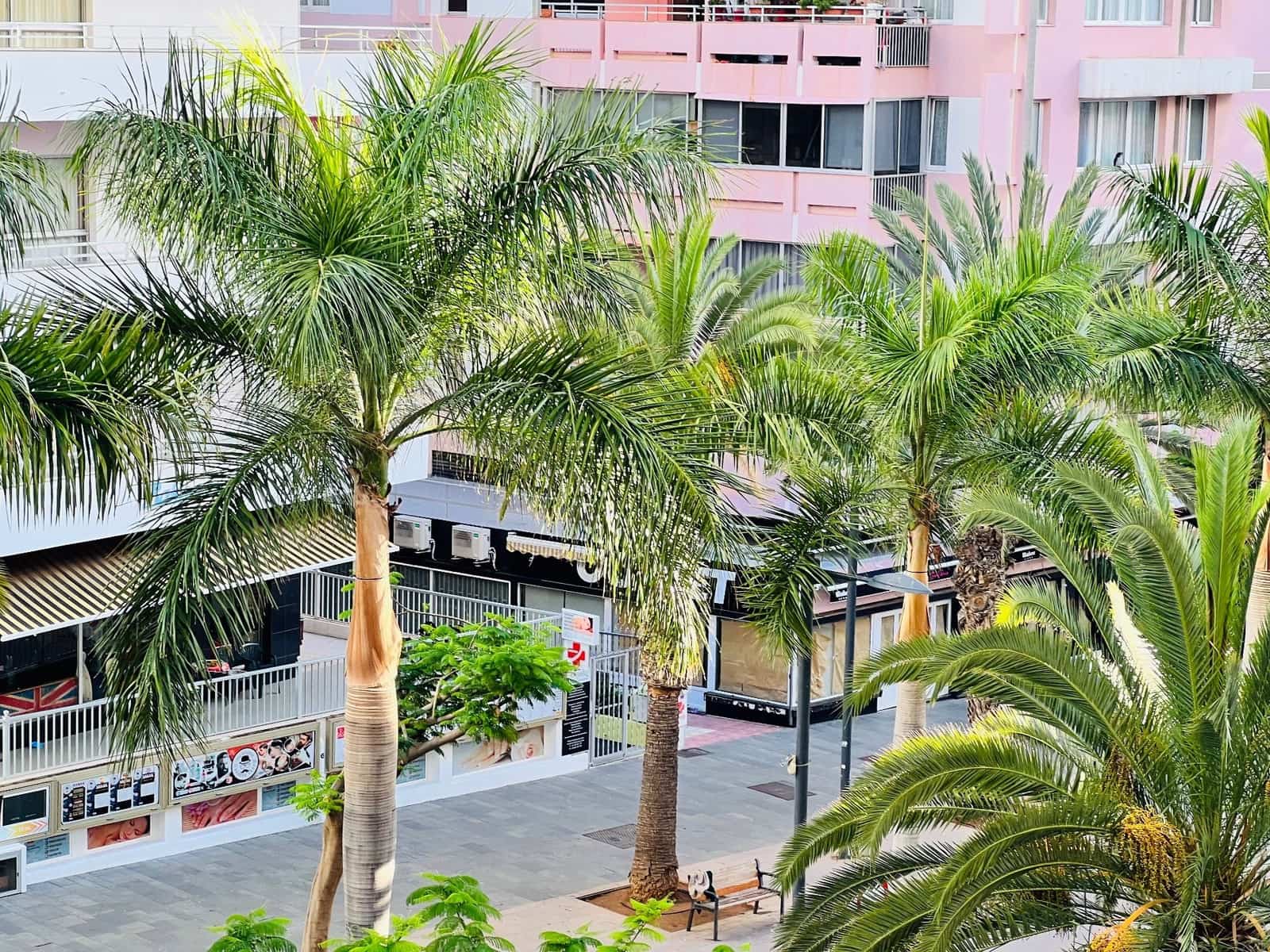 Yksiö myytävänä paikassa Puerto de la Cruz - 165 000 € (Ref: 10150600)