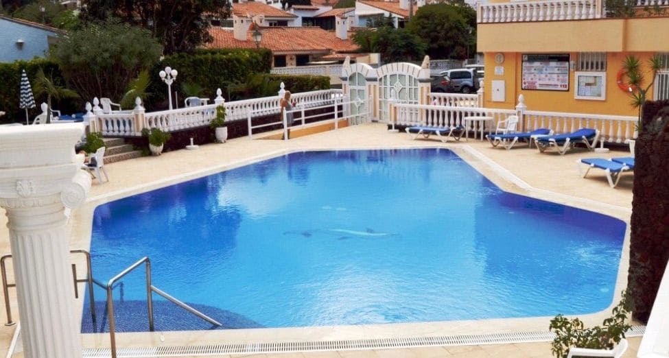 Studio for rent in Puerto de la Cruz with pool - € 1,200 (Ref: 10150601)