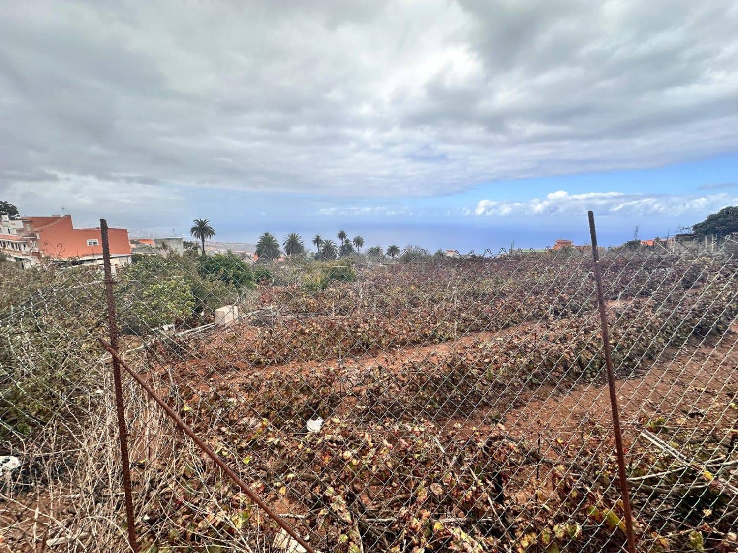 Działka budowlana na sprzedaż w La Victoria de Acentejo - 129 000 € (Ref: 8755339)