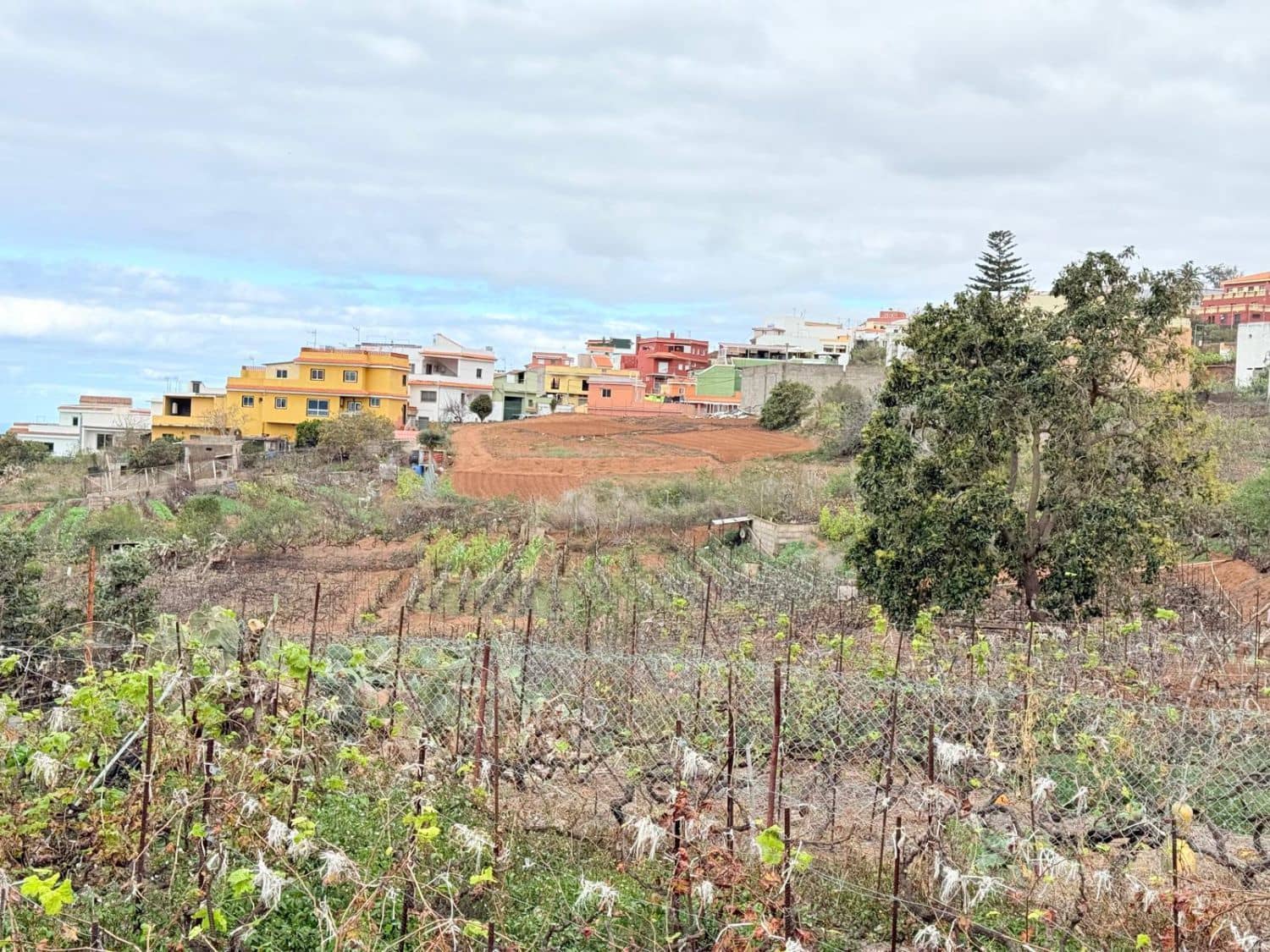 Działka budowlana na sprzedaż w La Victoria de Acentejo - 129 000 € (Ref: 8755339)