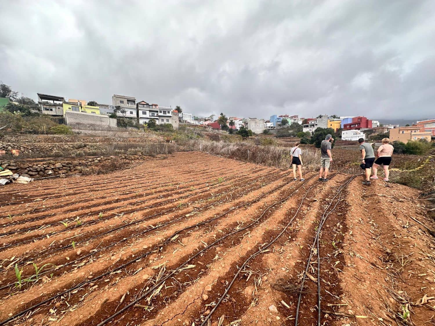 Działka budowlana na sprzedaż w La Victoria de Acentejo - 129 000 € (Ref: 8755339)