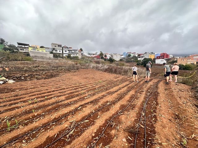 Bouwgrond te koop in La Victoria de Acentejo - € 129.000 (Ref: 8755339)