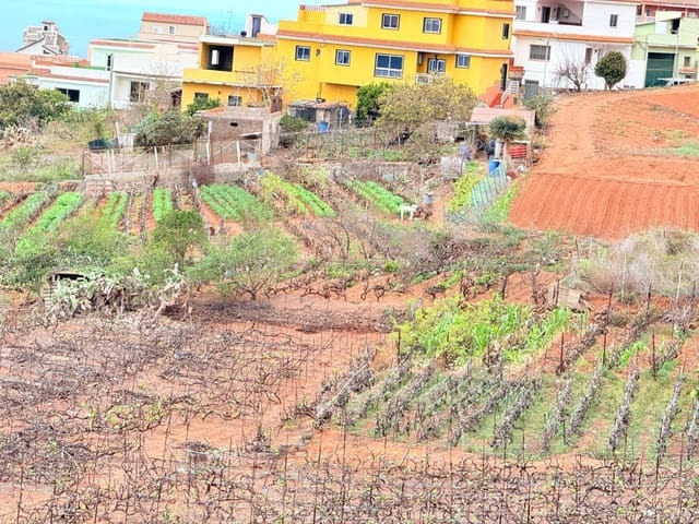 Bouwgrond te koop in La Victoria de Acentejo - € 129.000 (Ref: 8755339)