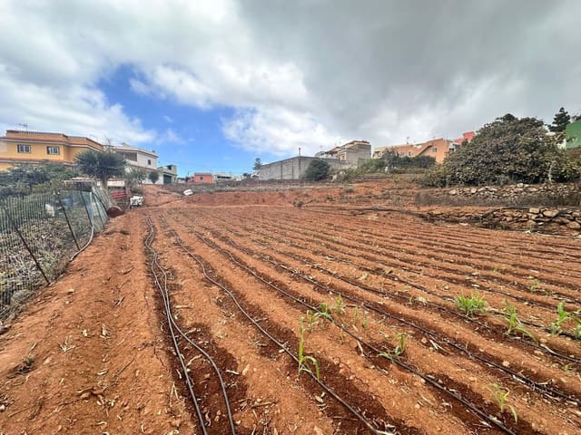 Finca/Herregård til salgs i La Victoria de Acentejo - € 129 000 (Ref: 8793368)