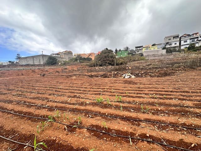 Finca/Herregård til salgs i La Victoria de Acentejo - € 129 000 (Ref: 8793368)