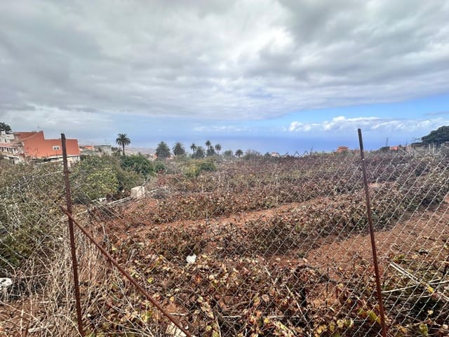 Finca/Herregård til salgs i La Victoria de Acentejo - € 129 000 (Ref: 8793368)