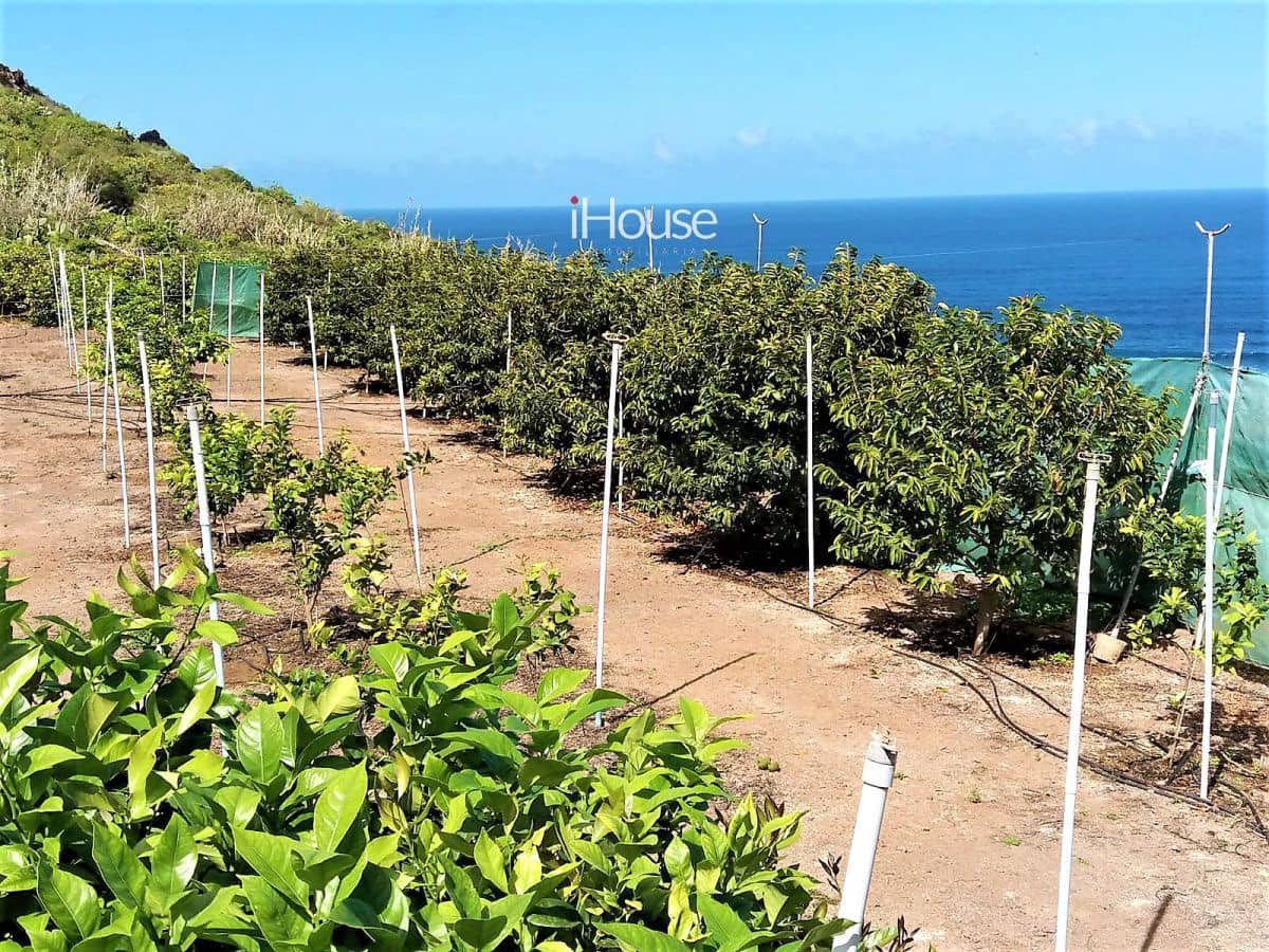 Maalaistalo myytävänä paikassa Buenavista del Norte - 465 000 € (Ref: 8980821)