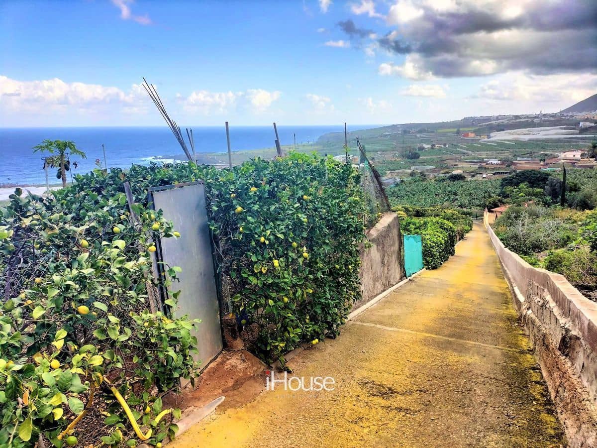 Maalaistalo myytävänä paikassa Buenavista del Norte - 465 000 € (Ref: 8980821)