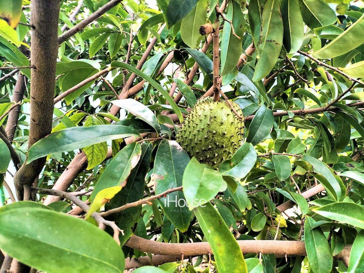 Maalaistalo myytävänä paikassa Buenavista del Norte - 465 000 € (Ref: 8980821)