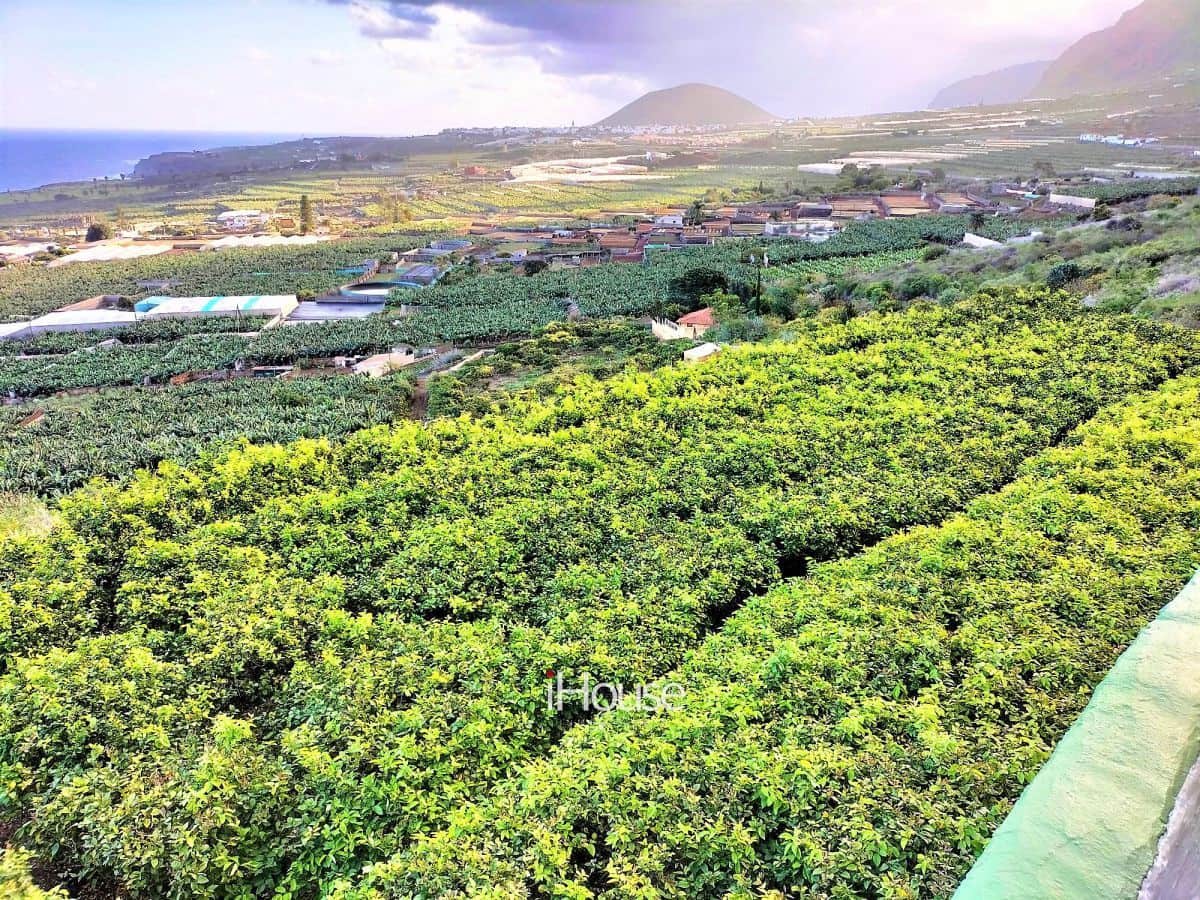 Maalaistalo myytävänä paikassa Buenavista del Norte - 465 000 € (Ref: 8980821)