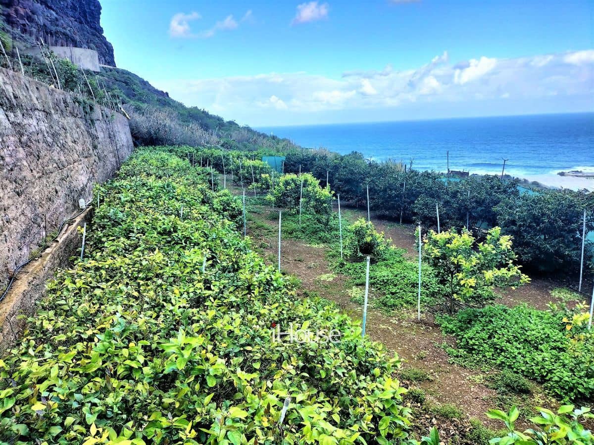 Maalaistalo myytävänä paikassa Buenavista del Norte - 465 000 € (Ref: 8980821)