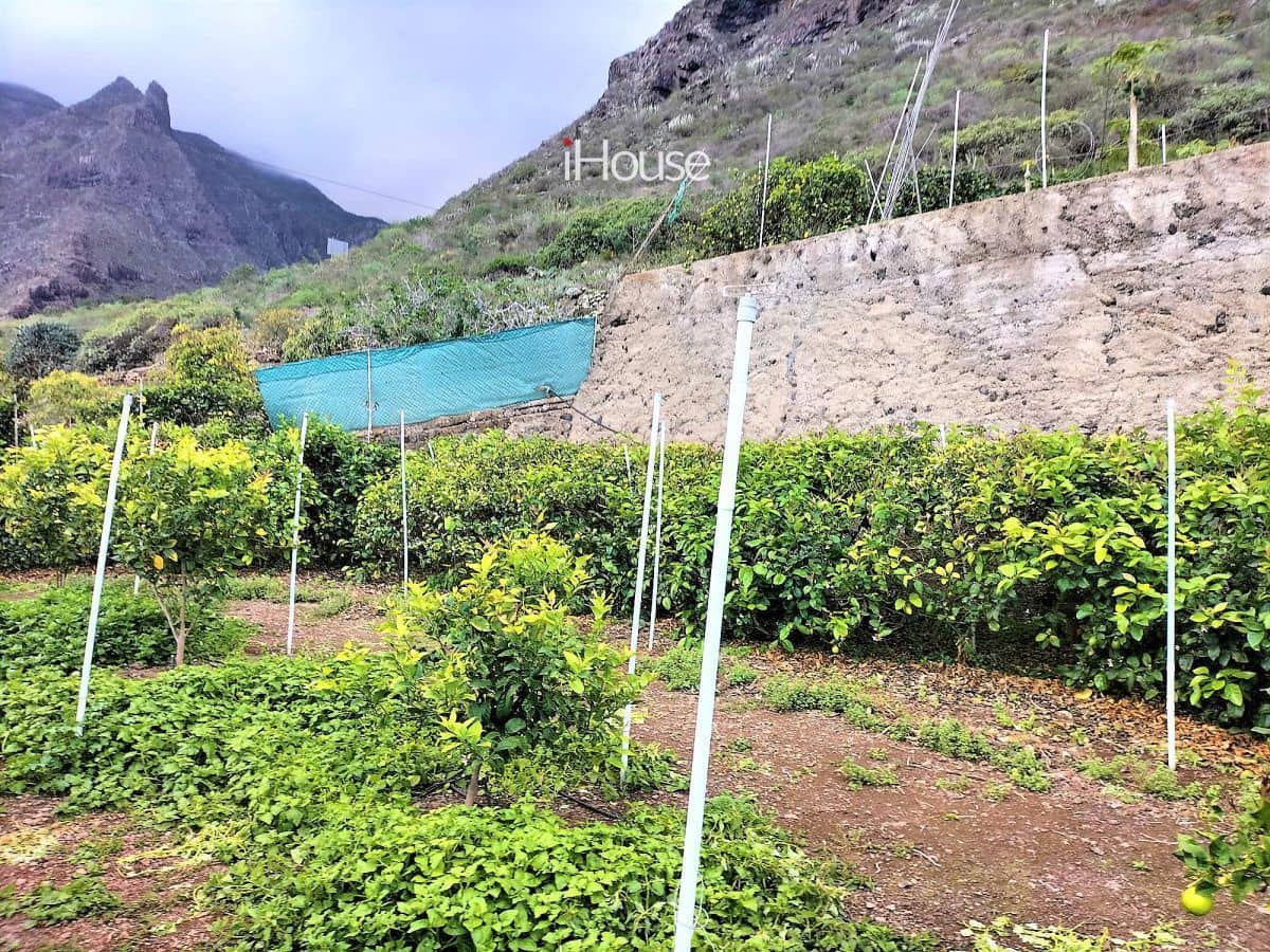 Maalaistalo myytävänä paikassa Buenavista del Norte - 465 000 € (Ref: 8980821)