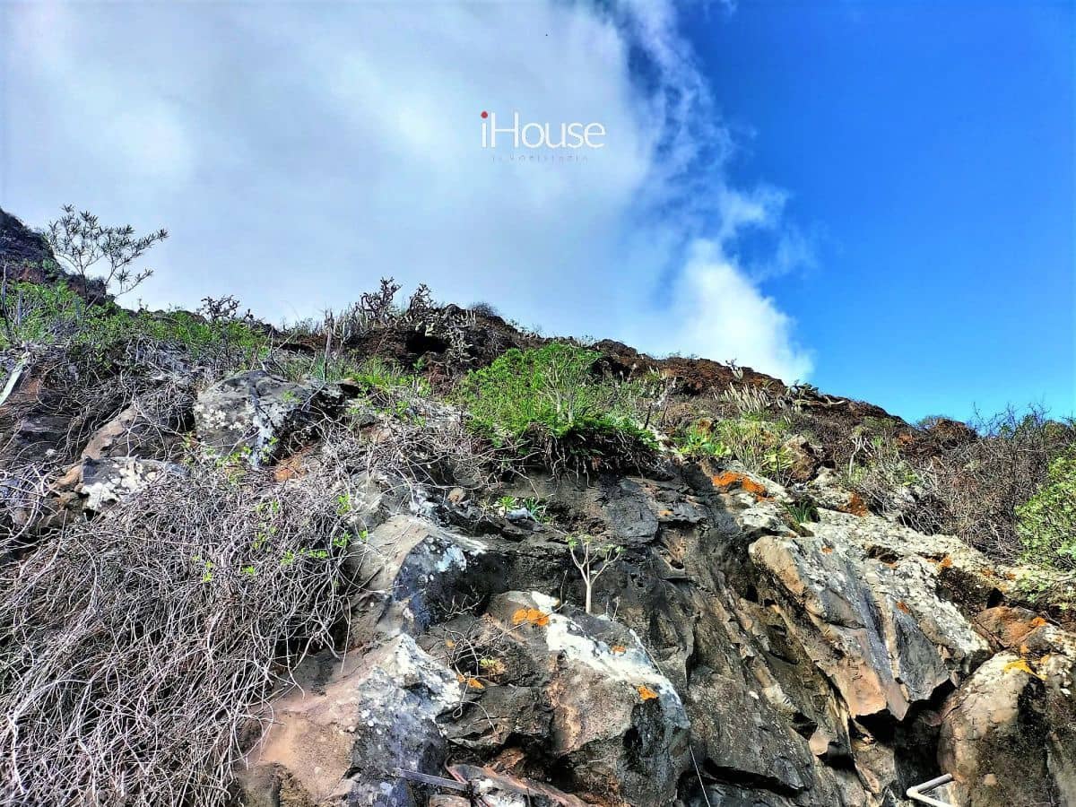 Maalaistalo myytävänä paikassa Buenavista del Norte - 465 000 € (Ref: 8980821)