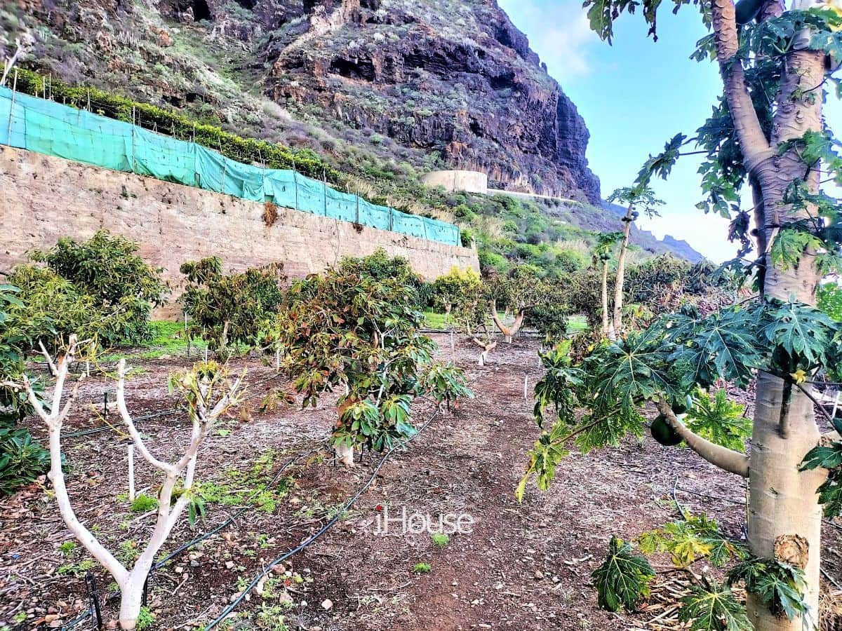 Maalaistalo myytävänä paikassa Buenavista del Norte - 465 000 € (Ref: 8980821)