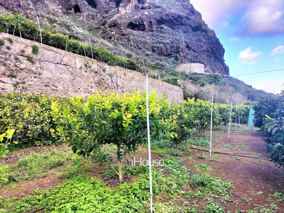 Maalaistalo myytävänä paikassa Buenavista del Norte - 465 000 € (Ref: 8980821)