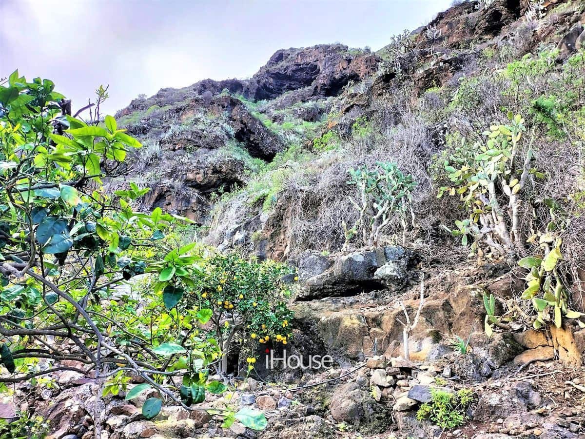 Maalaistalo myytävänä paikassa Buenavista del Norte - 465 000 € (Ref: 8980821)