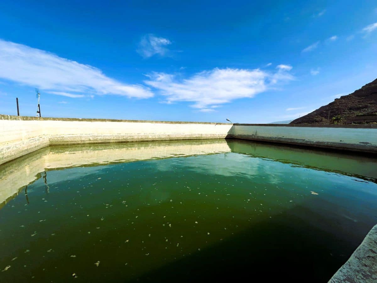 1 sypialnia Finka/Dom wiejski na sprzedaż w Candelaria z garażem - 549 000 € (Ref: 8980827)