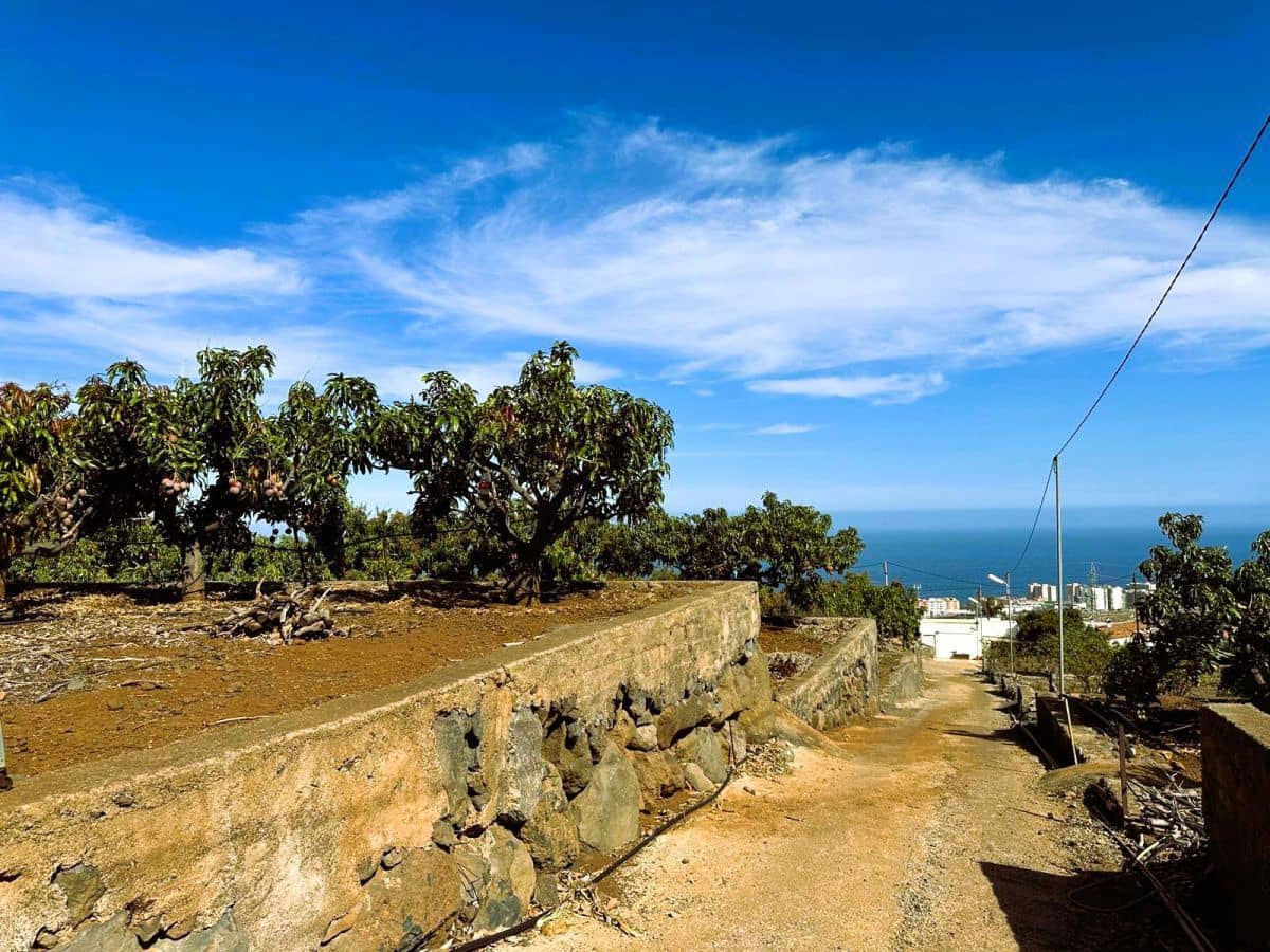 1 sypialnia Finka/Dom wiejski na sprzedaż w Candelaria z garażem - 549 000 € (Ref: 8980827)