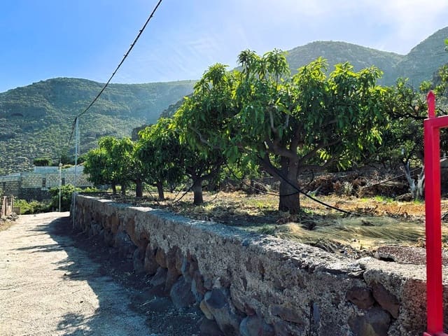 1 slaapkamer Finca/Landhuis te koop in Candelaria met garage - € 549.000 (Ref: 8980827)