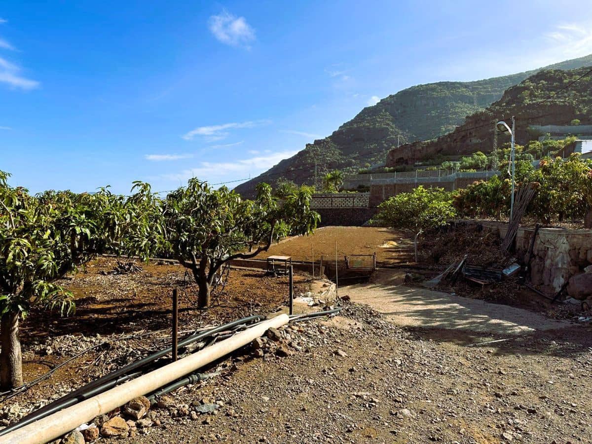 1 sypialnia Finka/Dom wiejski na sprzedaż w Candelaria z garażem - 549 000 € (Ref: 8980827)