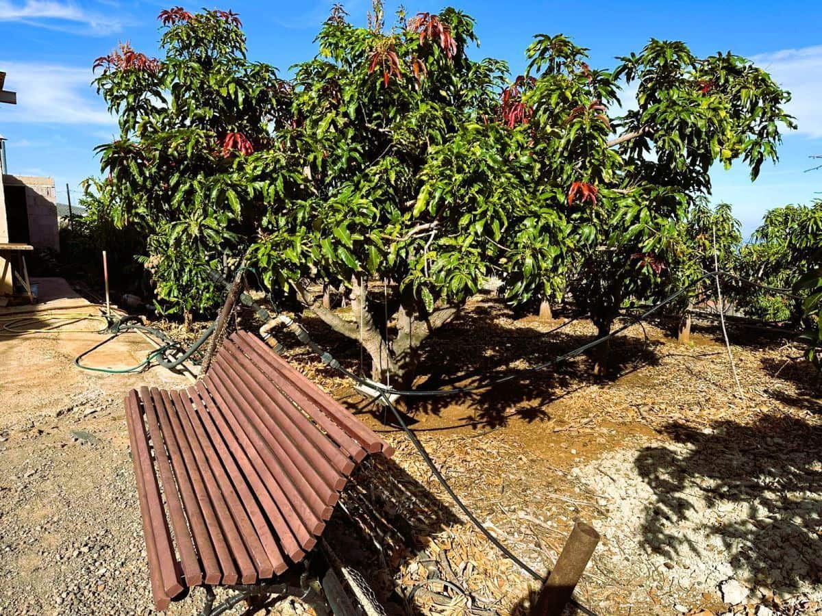 1 sypialnia Finka/Dom wiejski na sprzedaż w Candelaria z garażem - 549 000 € (Ref: 8980827)