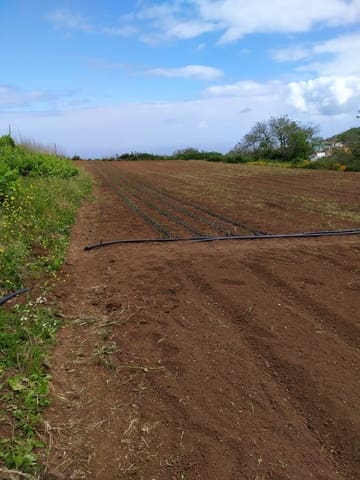 Finca/Landhuis te koop in Tacoronte - € 325.000 (Ref: 8982131)