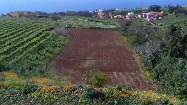 Finca/Landhuis te koop in Tacoronte - € 325.000 (Ref: 8982131)