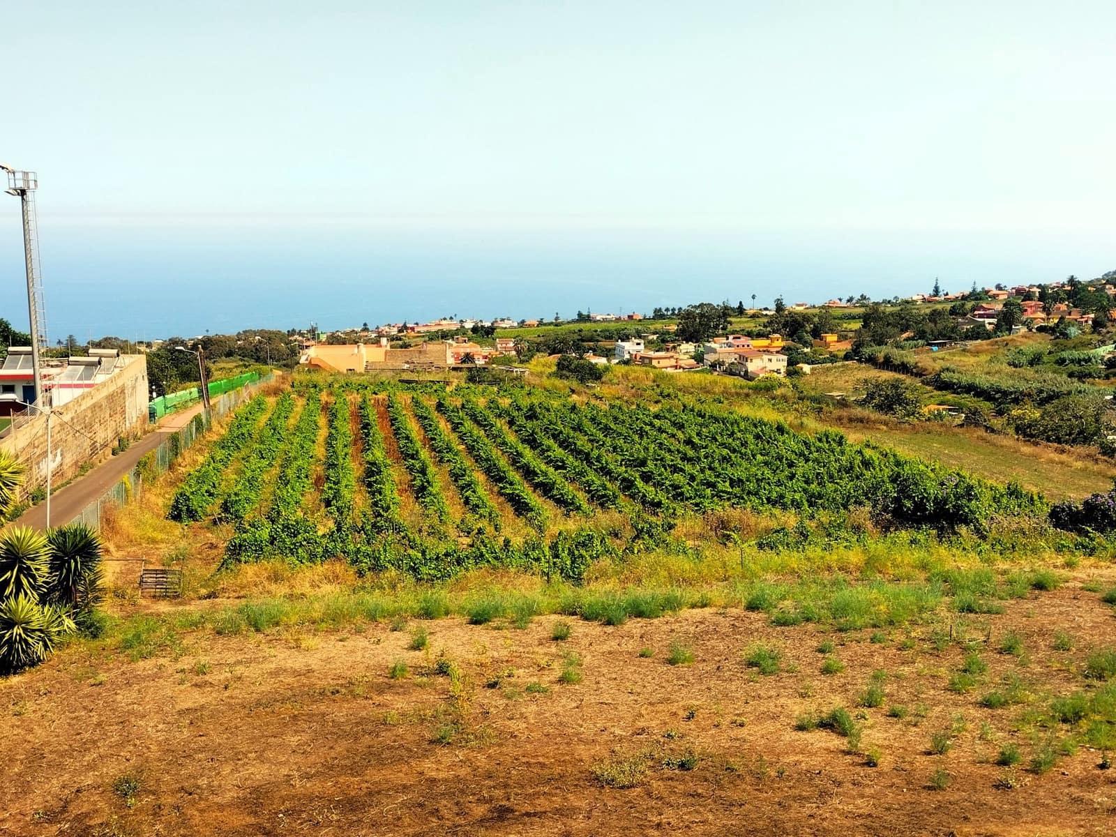 Finca/Landhuis te koop in Tacoronte - € 325.000 (Ref: 8982131)