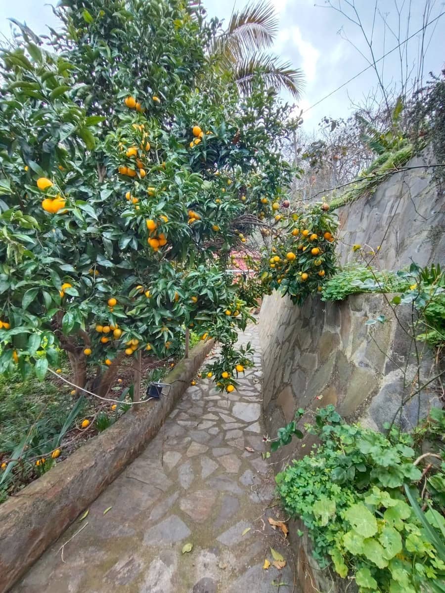 4 soveværelse Finca/Landehus til salg i La Orotava - € 275.000 (Ref: 8991930)