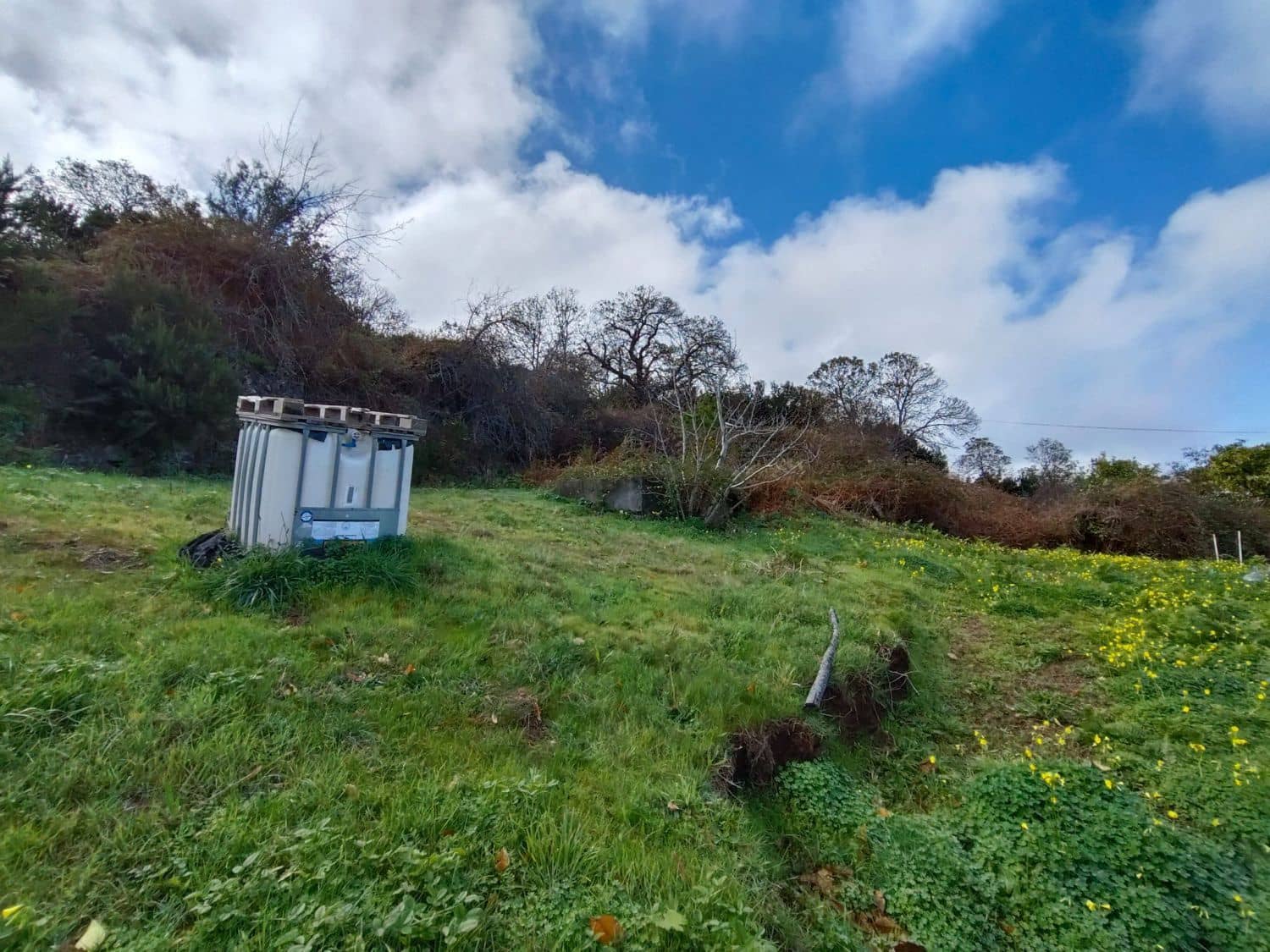 4 soveværelse Finca/Landehus til salg i La Orotava - € 275.000 (Ref: 8991930)