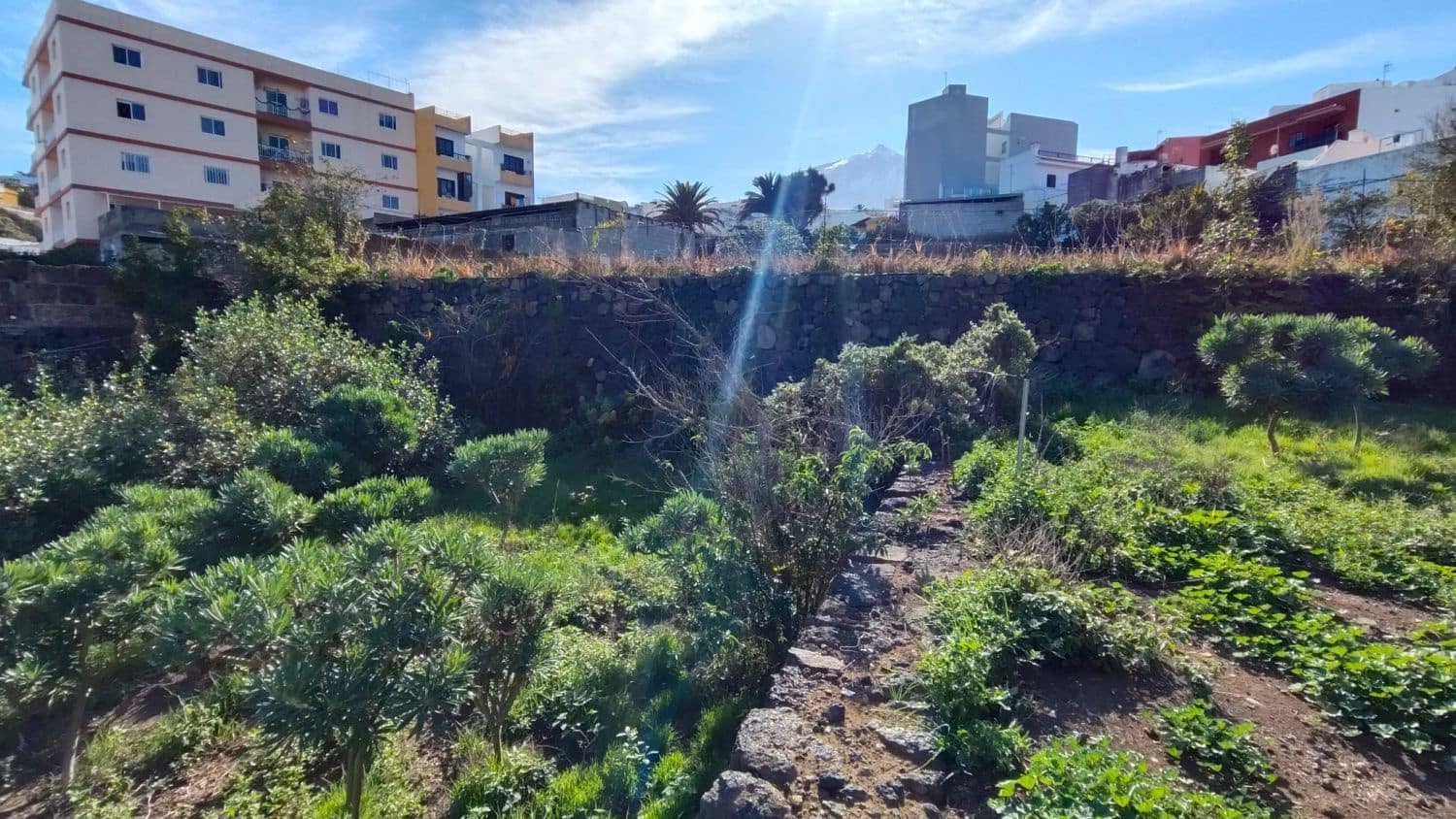 7 soveværelse Villa til salg i Icod de los Vinos - € 260.000 (Ref: 8991931)