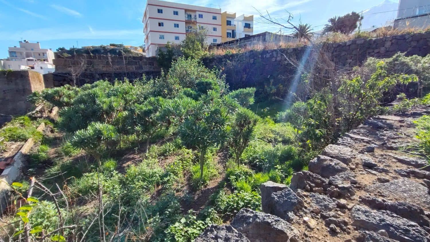 7 soveværelse Villa til salg i Icod de los Vinos - € 260.000 (Ref: 8991931)