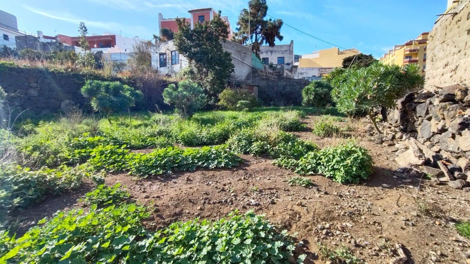 7 soveværelse Villa til salg i Icod de los Vinos - € 260.000 (Ref: 8991931)