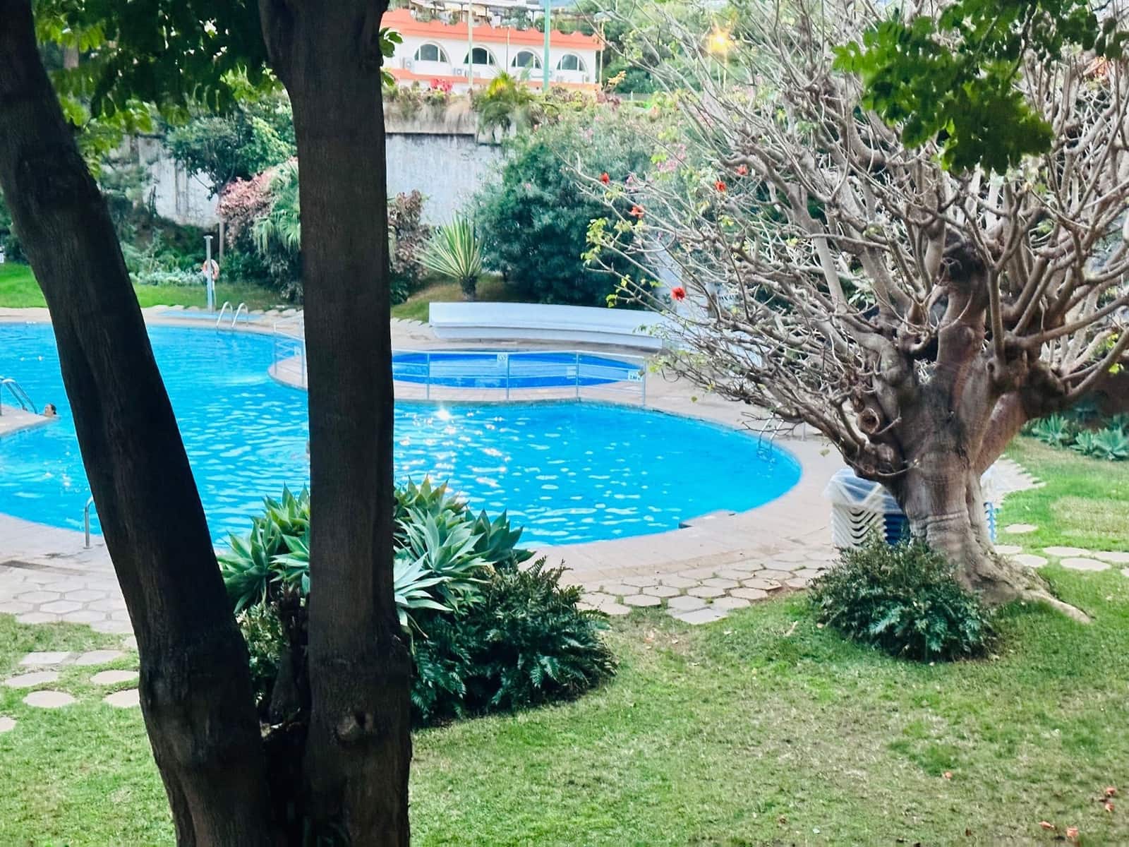 Studio till salu i Puerto de la Cruz med pool garage - 138 000 € (Ref: 9371752)