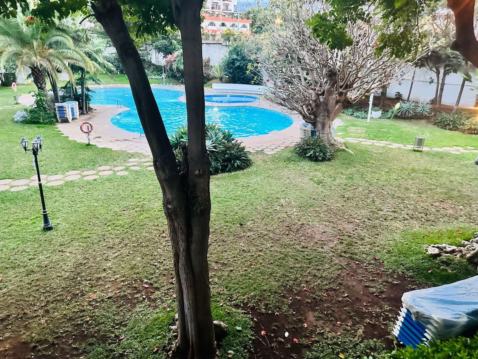 Studio till salu i Puerto de la Cruz med pool garage - 138 000 € (Ref: 9371752)