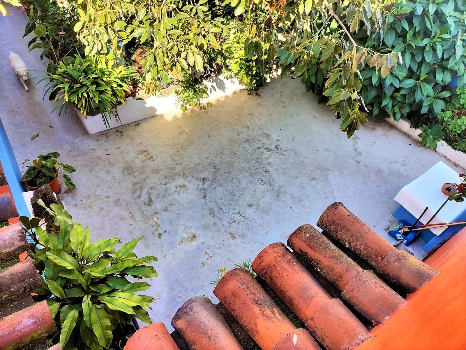 4 sovrum Villa till salu i Los Realejos - 330 000 € (Ref: 9382366)