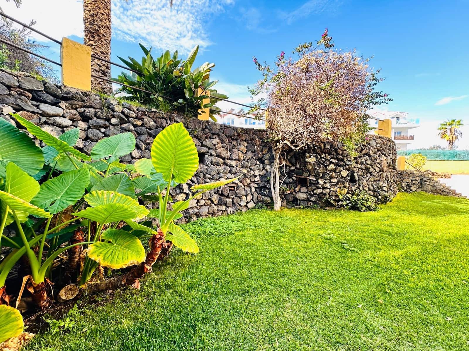 1 soverom Leilighet til salgs i Puerto de la Cruz med svømmebasseng - € 229 000 (Ref: 9398209)