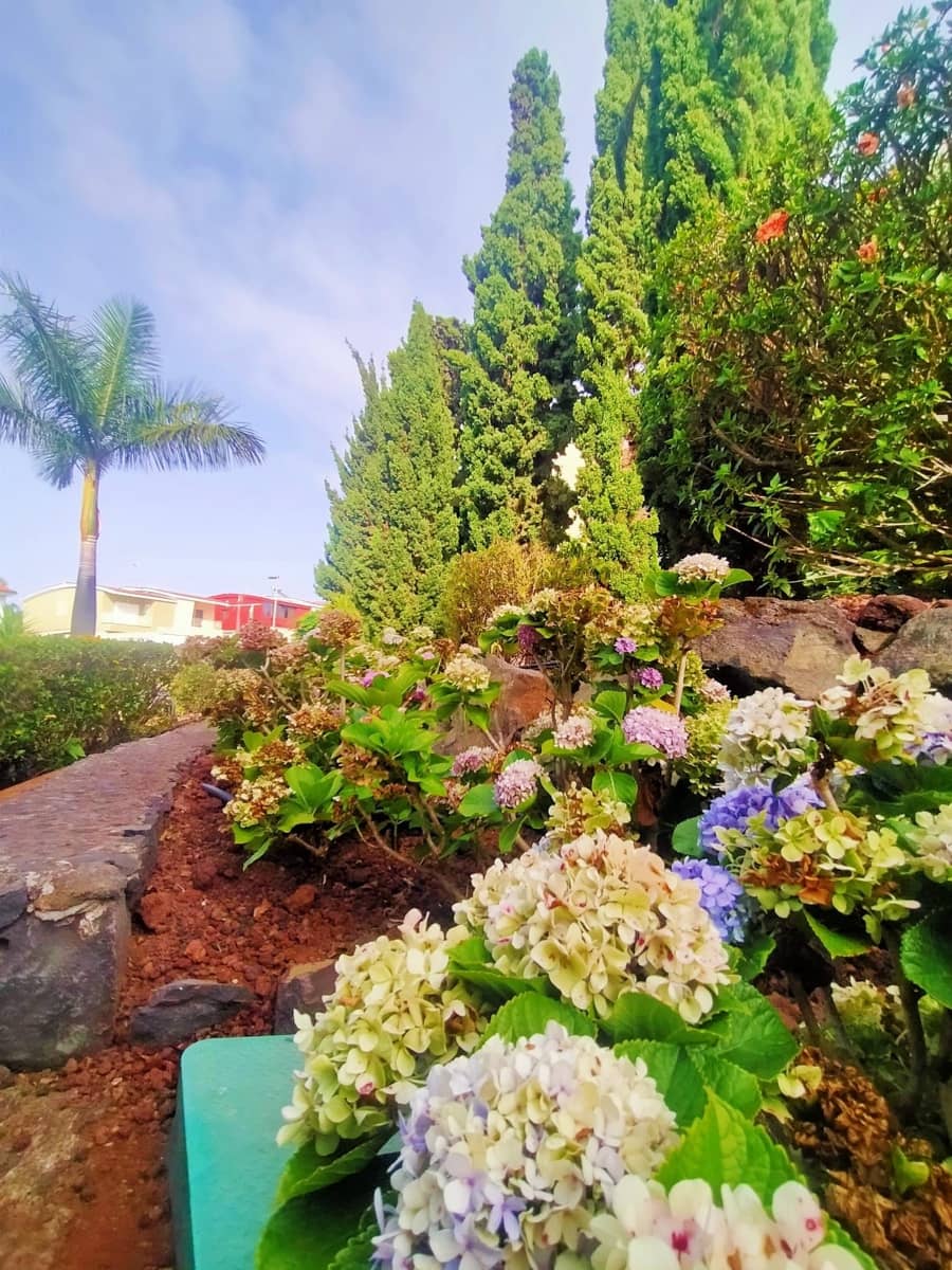 3 bedroom Flat for sale in La Quinta with pool garage - € 250,000 (Ref: 9433093)