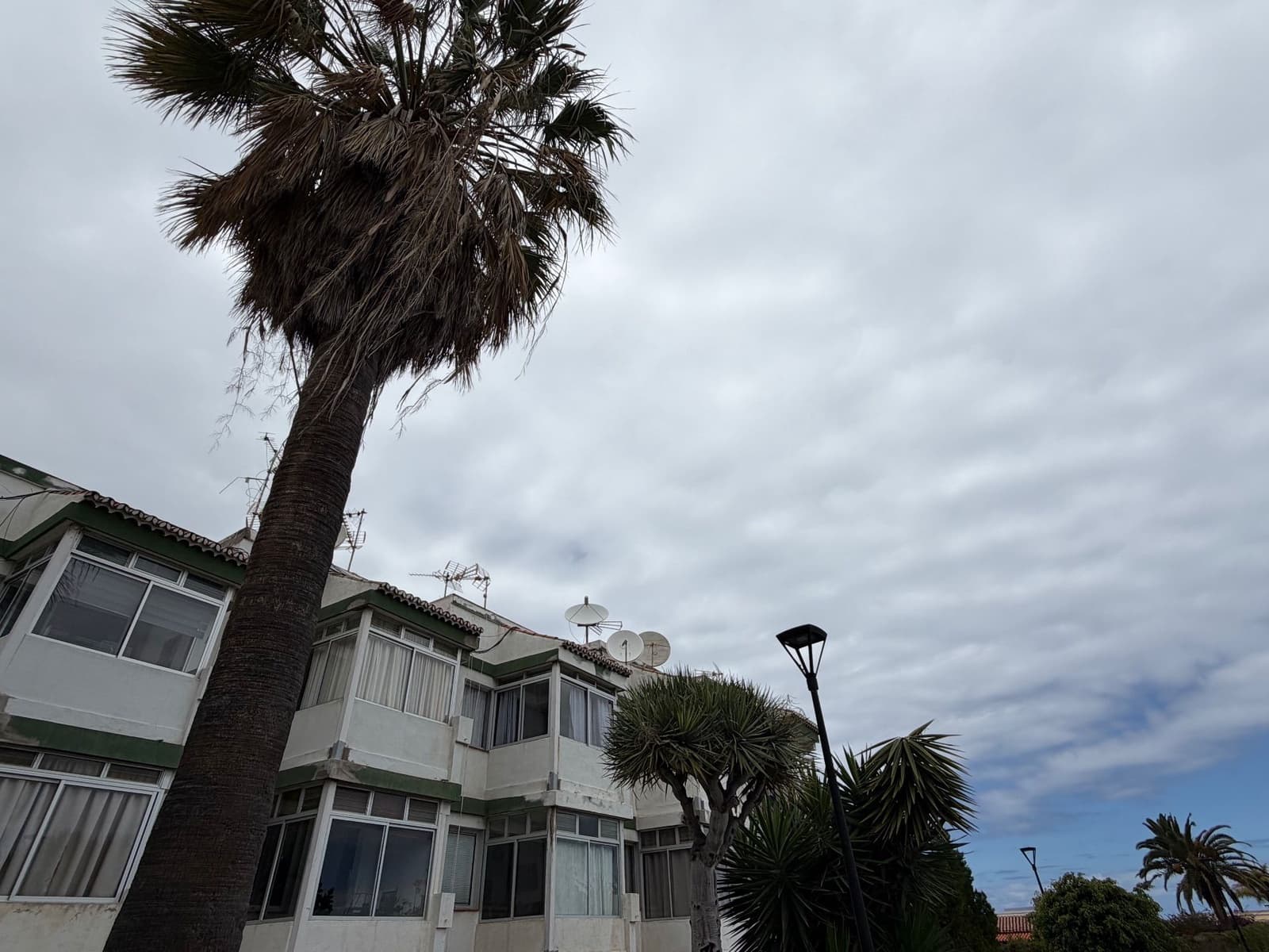 Studio for sale in Puerto de la Cruz - € 155,000 (Ref: 9501869)