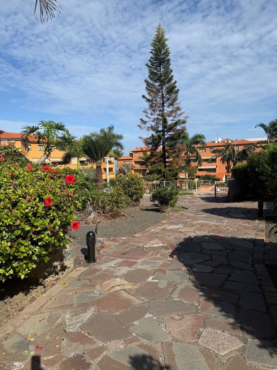 2 soveværelse Lejlighed til leje i Puerto de la Cruz med swimmingpool garage - € 1.200 (Ref: 9513081)