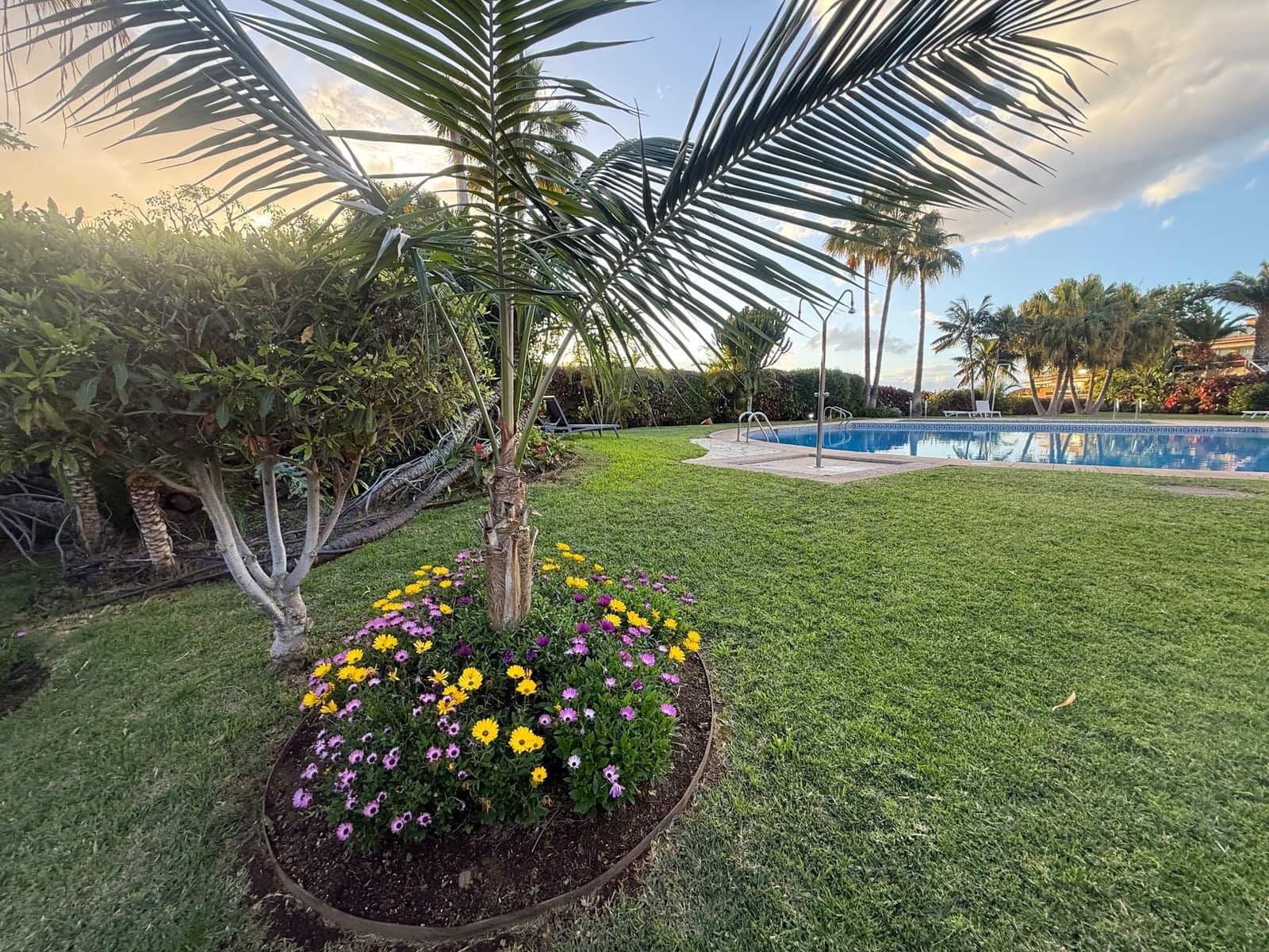 1 bedroom Apartment for sale in Puerto de la Cruz with pool garage - € 335,000 (Ref: 9704546)