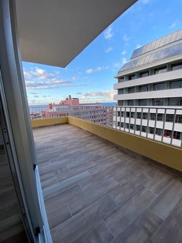 Studio zu vermieten in Puerto de la Cruz mit Pool - 850 € (Ref: 9726367)