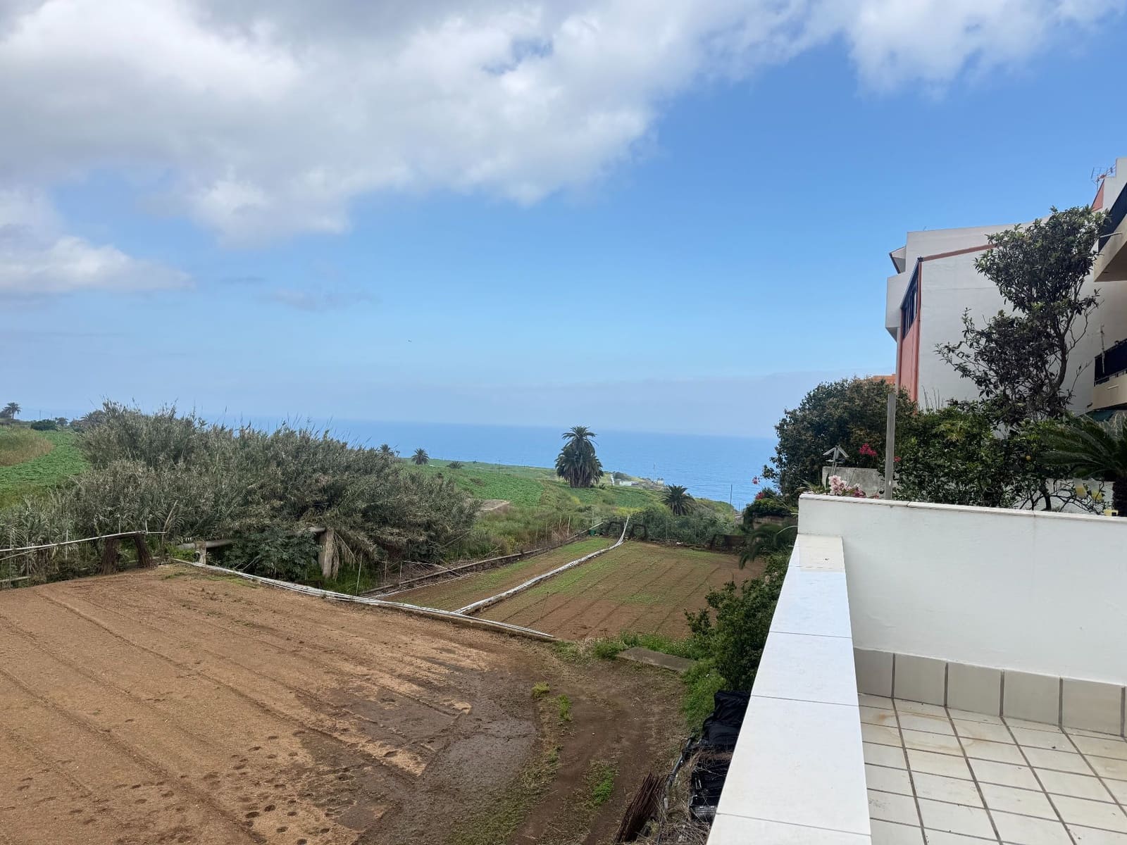 2 Zimmer Haus zu verkaufen in Los Realejos - 348.000 € (Ref: 9737997)