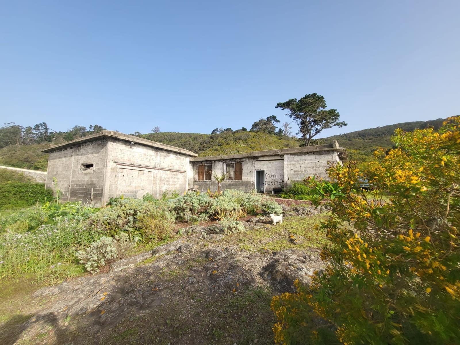 3 bedroom Finca/Country House for sale in El Tanque - € 350,000 (Ref: 9800353)