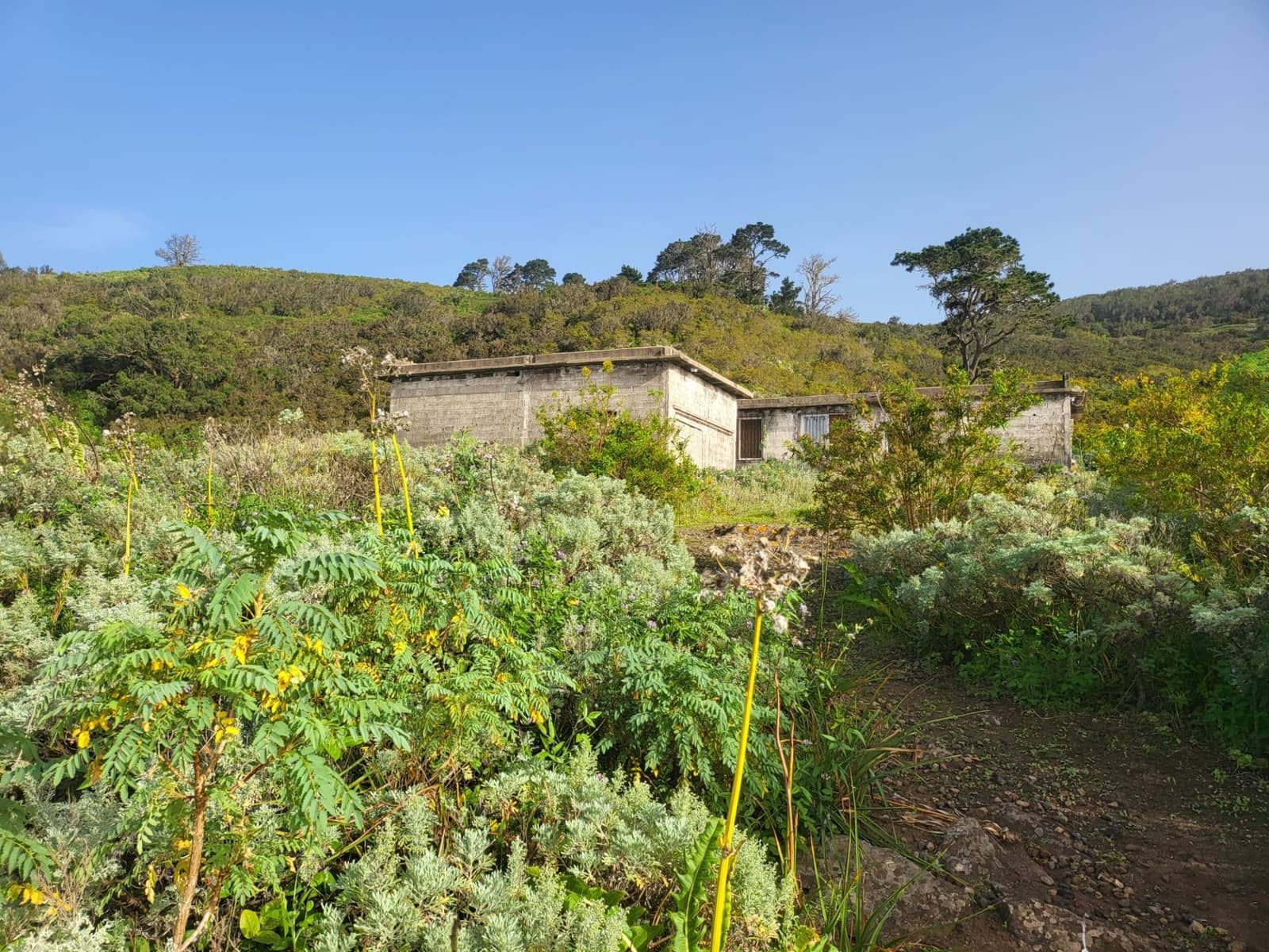 3 bedroom Finca/Country House for sale in El Tanque - € 350,000 (Ref: 9800353)
