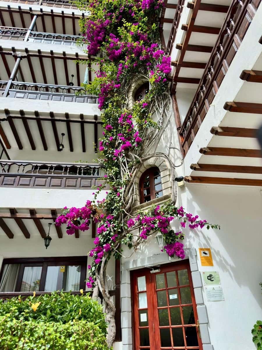 Estudio en Puerto de la Cruz en venta con piscina garaje - 199.000 € (Ref: 9813680)