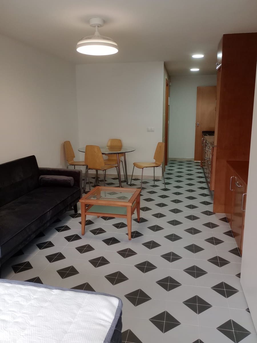 Studio for rent in Puerto de la Cruz - € 800 (Ref: 9842139)