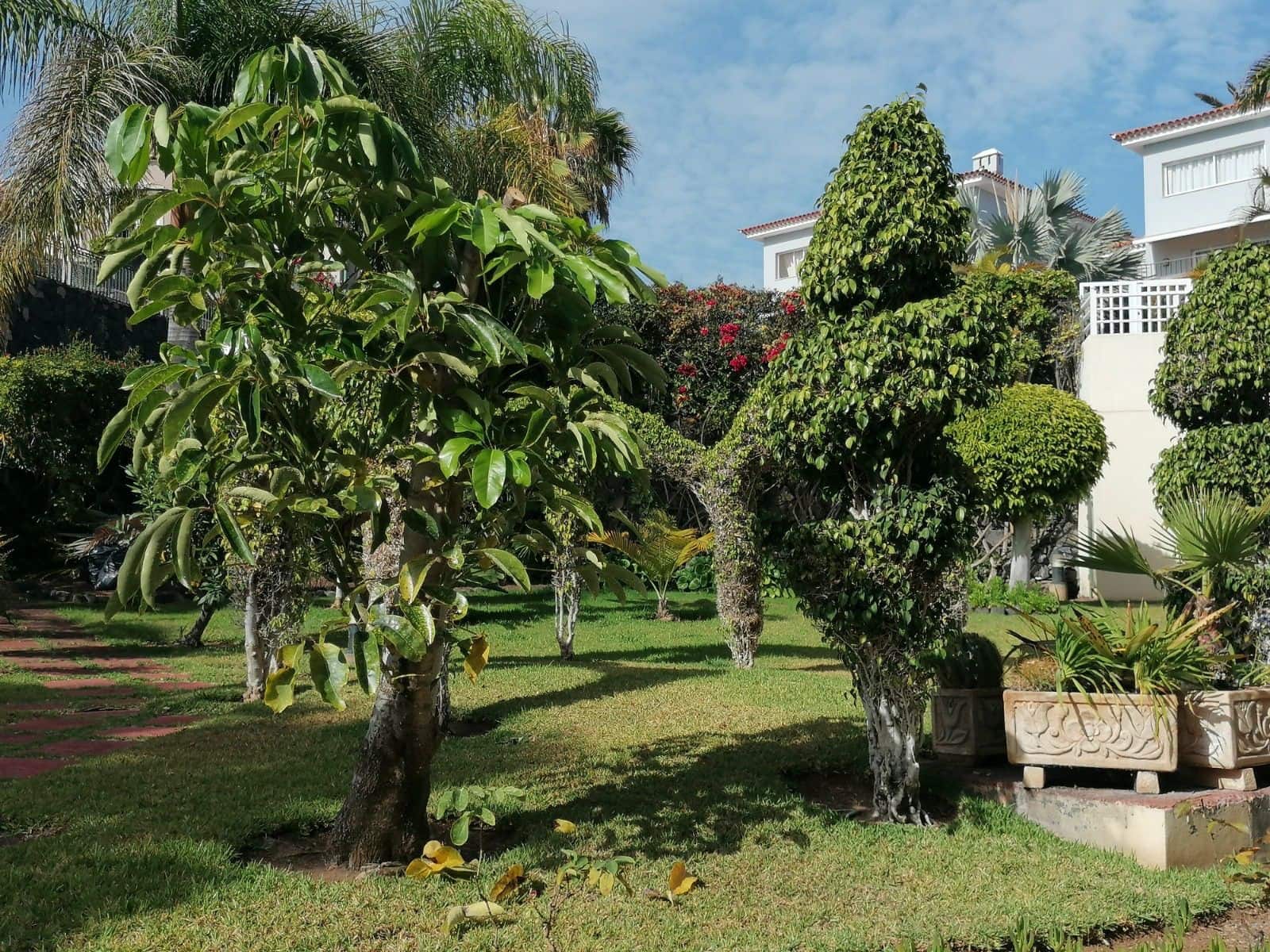 1 soverom Leilighet til leie i Puerto de la Cruz med svømmebasseng garasje - € 1 225 (Ref: 9976775)